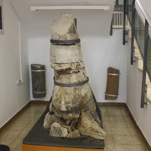 Almadén.Museo F.P.Holgado (Miriam González)