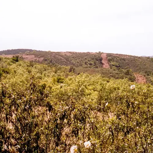 Fundición El Robledo. Panorámica (A. Manzanares y P. Hevia).jpg