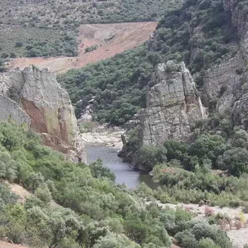 Los Pontones. Garganta del río Jándula (M. González Nieto)
