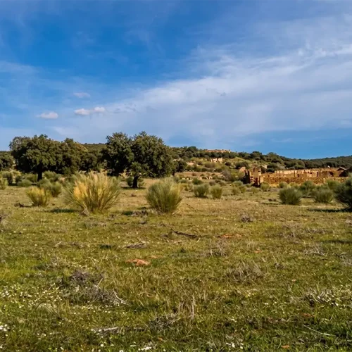 Minas del General (N. Gaspar)