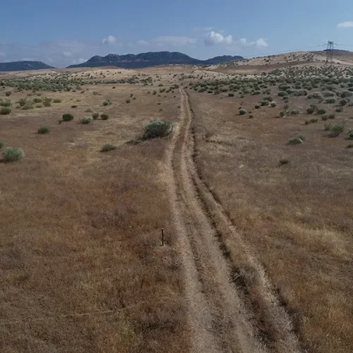 RUTA AZOGUE I (M. González Nieto)